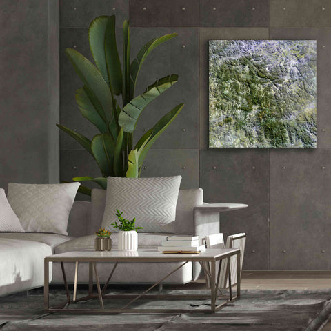 Image of 'Earth as Art: Namaqualand ' Canvas Wall Art,37 x 37
