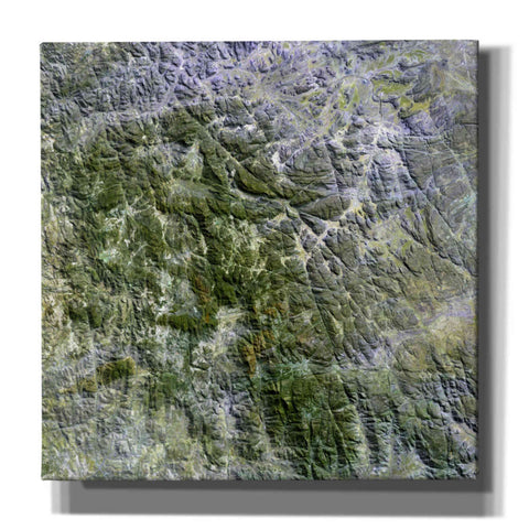 Image of 'Earth as Art: Namaqualand ' Canvas Wall Art