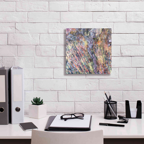 Image of 'Earth as Art: The Optimist' Canvas Wall Art,12 x 12