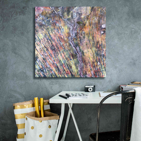Image of 'Earth as Art: The Optimist' Canvas Wall Art,26 x 26