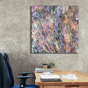 'Earth as Art: The Optimist' Canvas Wall Art,37 x 37