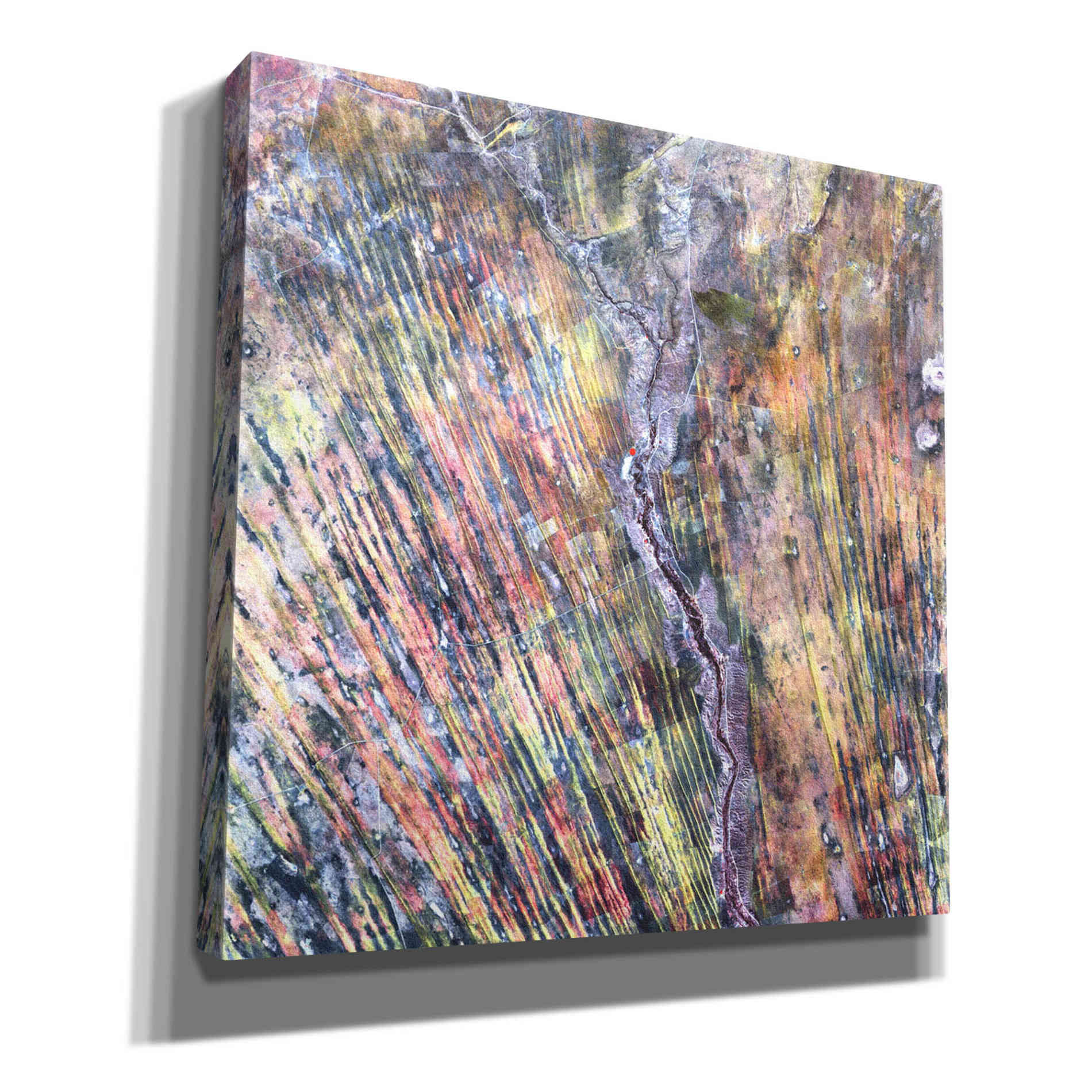 'Earth as Art: The Optimist' Canvas Wall Art