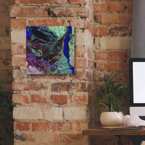 'Earth as Art: Parana River Delta' Canvas Wall Art,12 x 12
