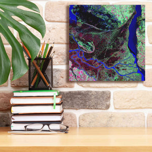 'Earth as Art: Parana River Delta' Canvas Wall Art,12 x 12