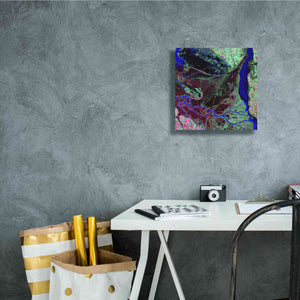 'Earth as Art: Parana River Delta' Canvas Wall Art,12 x 12