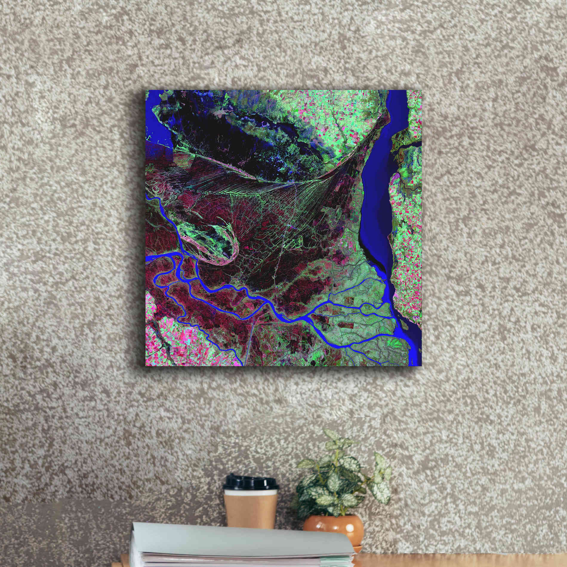 'Earth as Art: Parana River Delta' Canvas Wall Art,18 x 18