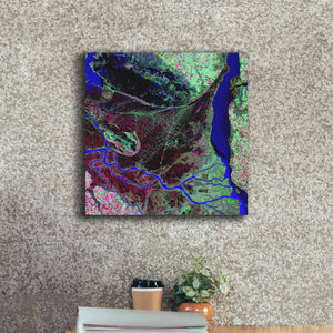 'Earth as Art: Parana River Delta' Canvas Wall Art,18 x 18