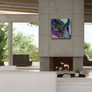 'Earth as Art: Parana River Delta' Canvas Wall Art,26 x 26