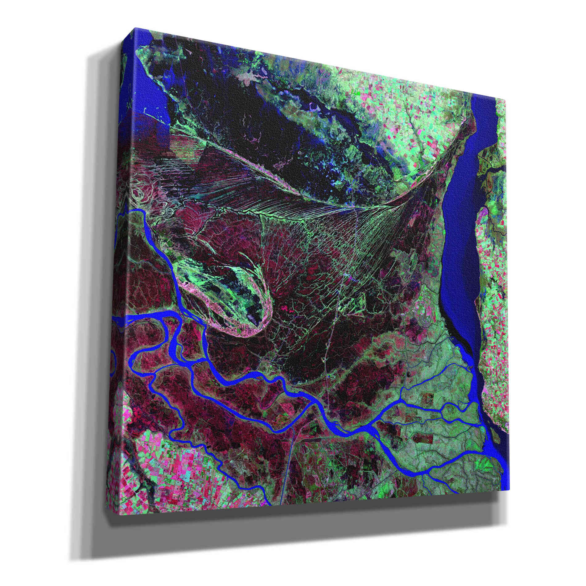 'Earth as Art: Parana River Delta' Canvas Wall Art