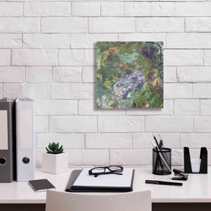 'Earth as Art: Great Sandy Desert' Canvas Wall Art,12 x 12