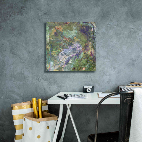Image of 'Earth as Art: Great Sandy Desert' Canvas Wall Art,18 x 18