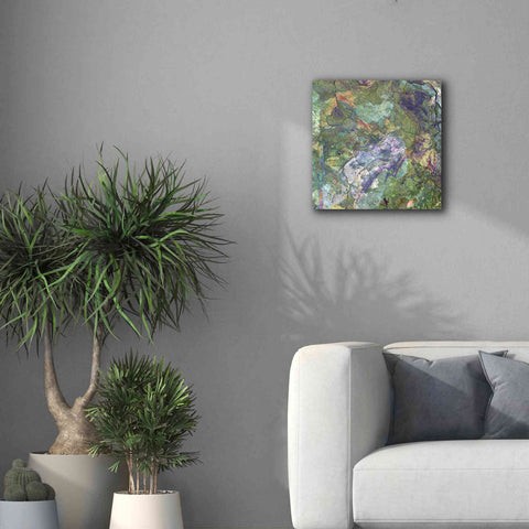 Image of 'Earth as Art: Great Sandy Desert' Canvas Wall Art,18 x 18