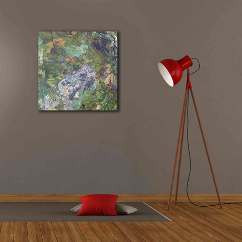 Image of 'Earth as Art: Great Sandy Desert' Canvas Wall Art,26 x 26