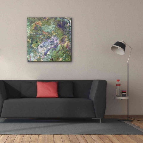 Image of 'Earth as Art: Great Sandy Desert' Canvas Wall Art,37 x 37