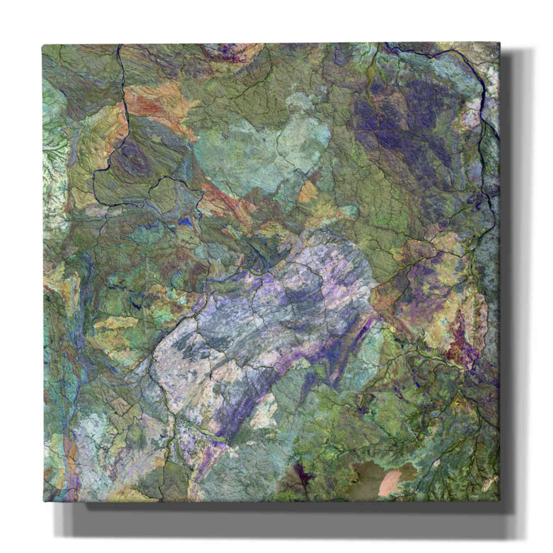 'Earth as Art: Great Sandy Desert' Canvas Wall Art