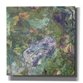 'Earth as Art: Great Sandy Desert' Canvas Wall Art