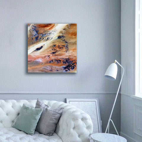 Image of 'Earth as Art: Terkezi Oasis' Canvas Wall Art,37 x 37