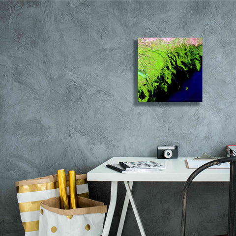 Image of 'Earth as Art: Volga River Delta' Canvas Wall Art,12 x 12