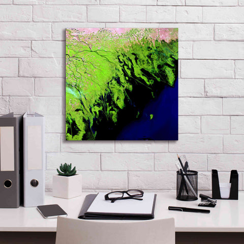 Image of 'Earth as Art: Volga River Delta' Canvas Wall Art,18 x 18