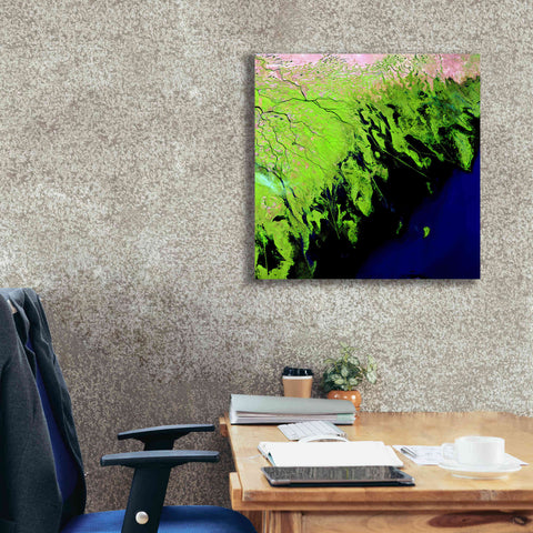 Image of 'Earth as Art: Volga River Delta' Canvas Wall Art,26 x 26