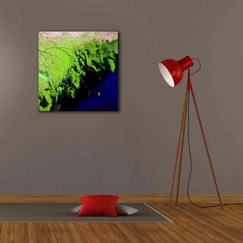 Image of 'Earth as Art: Volga River Delta' Canvas Wall Art,26 x 26