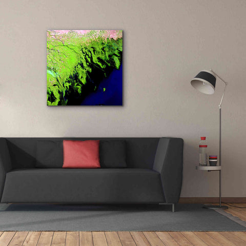 Image of 'Earth as Art: Volga River Delta' Canvas Wall Art,37 x 37