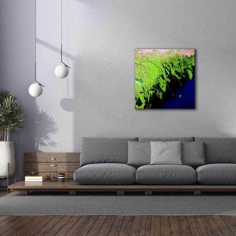 Image of 'Earth as Art: Volga River Delta' Canvas Wall Art,37 x 37