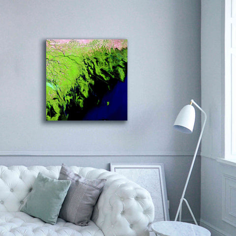 Image of 'Earth as Art: Volga River Delta' Canvas Wall Art,37 x 37