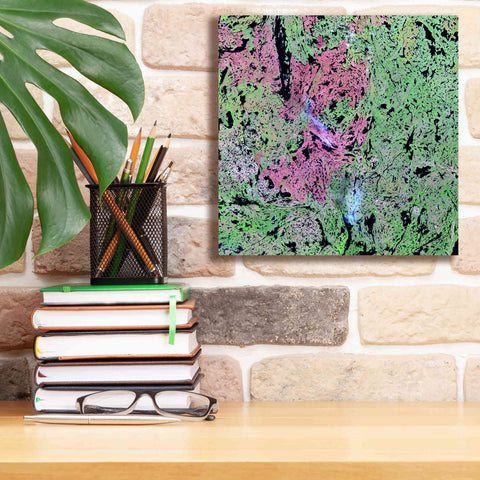 Image of 'Earth as Art: Yellowknife Wetlands' Canvas Wall Art,12 x 12