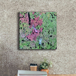 'Earth as Art: Yellowknife Wetlands' Canvas Wall Art,18 x 18