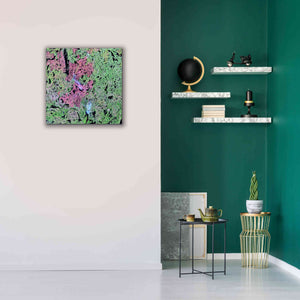 'Earth as Art: Yellowknife Wetlands' Canvas Wall Art,26 x 26