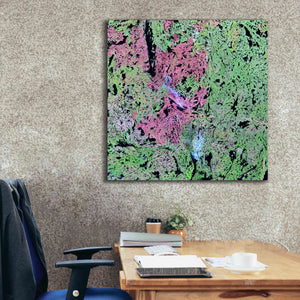 'Earth as Art: Yellowknife Wetlands' Canvas Wall Art,37 x 37