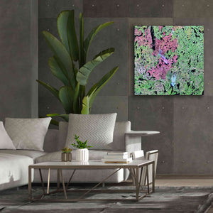 'Earth as Art: Yellowknife Wetlands' Canvas Wall Art,37 x 37