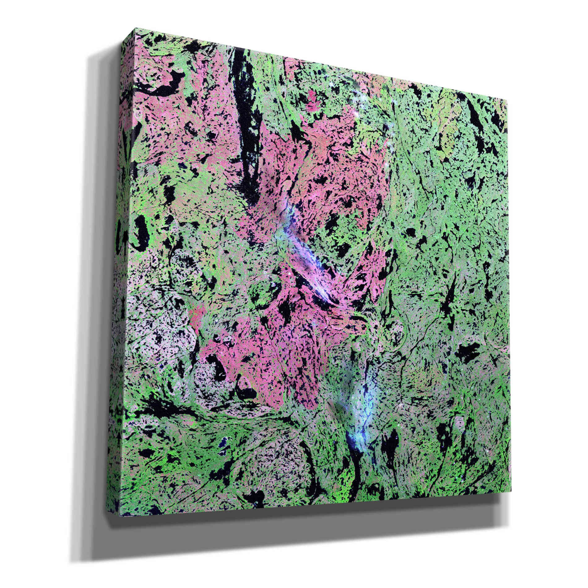 'Earth as Art: Yellowknife Wetlands' Canvas Wall Art