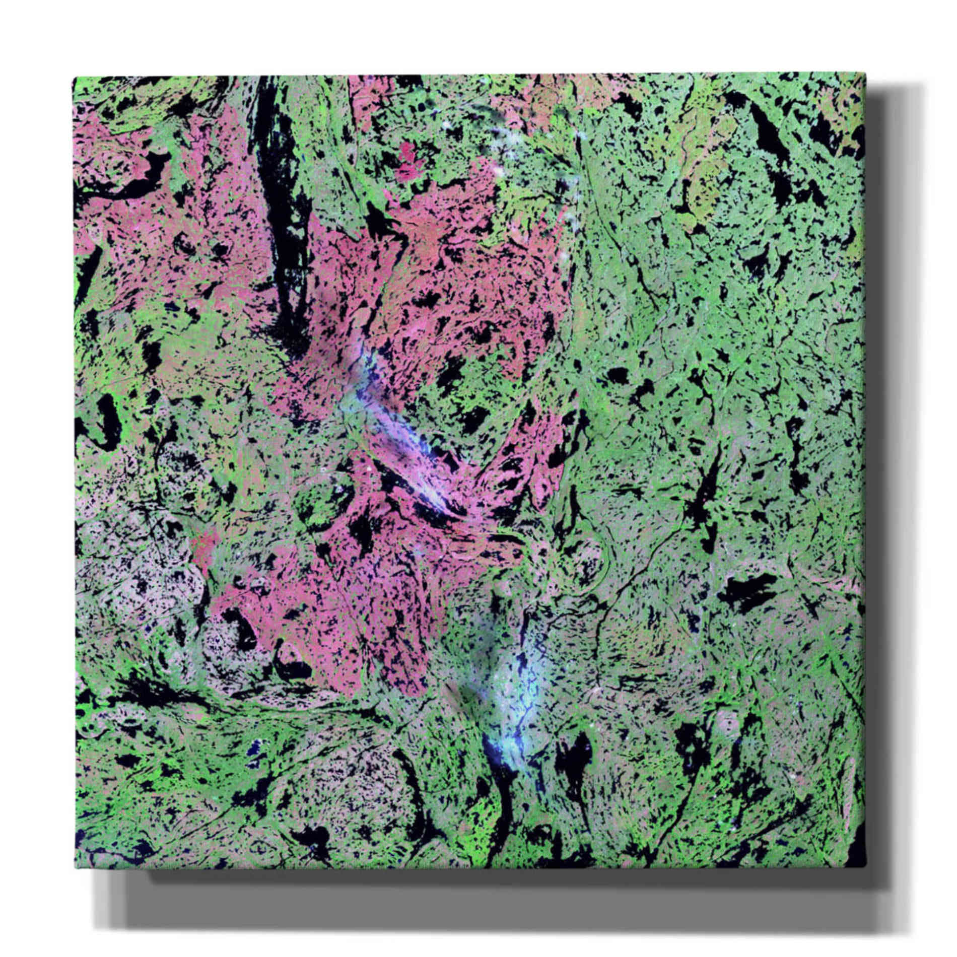 'Earth as Art: Yellowknife Wetlands' Canvas Wall Art