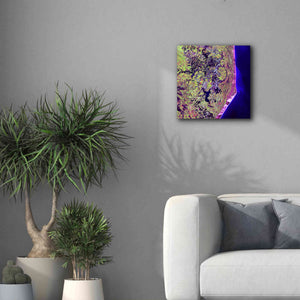 'Earth as Art: Cabo San Antonio' Canvas Wall Art,18 x 18