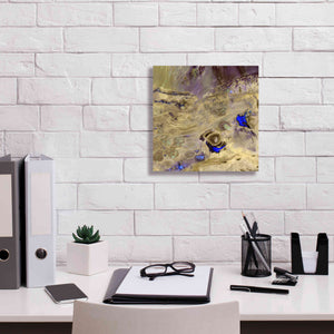 'Earth as Art: Great Salt Desert' Canvas Wall Art,12 x 12