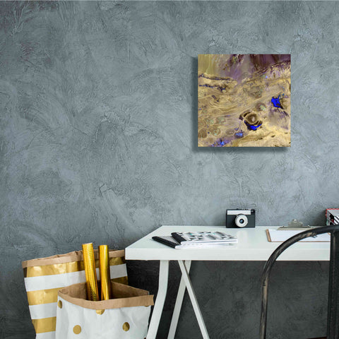Image of 'Earth as Art: Great Salt Desert' Canvas Wall Art,12 x 12