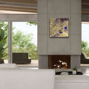 'Earth as Art: Great Salt Desert' Canvas Wall Art,26 x 26
