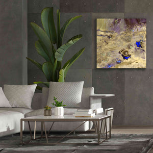 'Earth as Art: Great Salt Desert' Canvas Wall Art,37 x 37