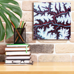 'Earth as Art: Himalayas ' Canvas Wall Art,12 x 12