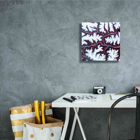 Image of 'Earth as Art: Himalayas ' Canvas Wall Art,12 x 12