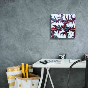 'Earth as Art: Himalayas ' Canvas Wall Art,12 x 12