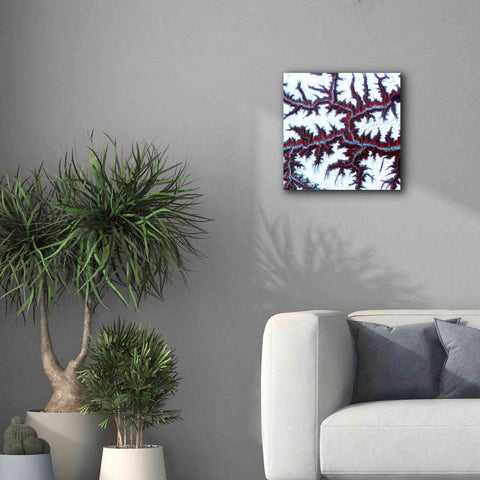 Image of 'Earth as Art: Himalayas ' Canvas Wall Art,18 x 18