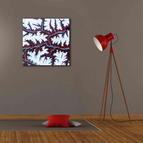 Image of 'Earth as Art: Himalayas ' Canvas Wall Art,26 x 26