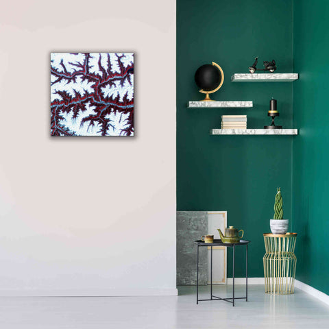 Image of 'Earth as Art: Himalayas ' Canvas Wall Art,26 x 26