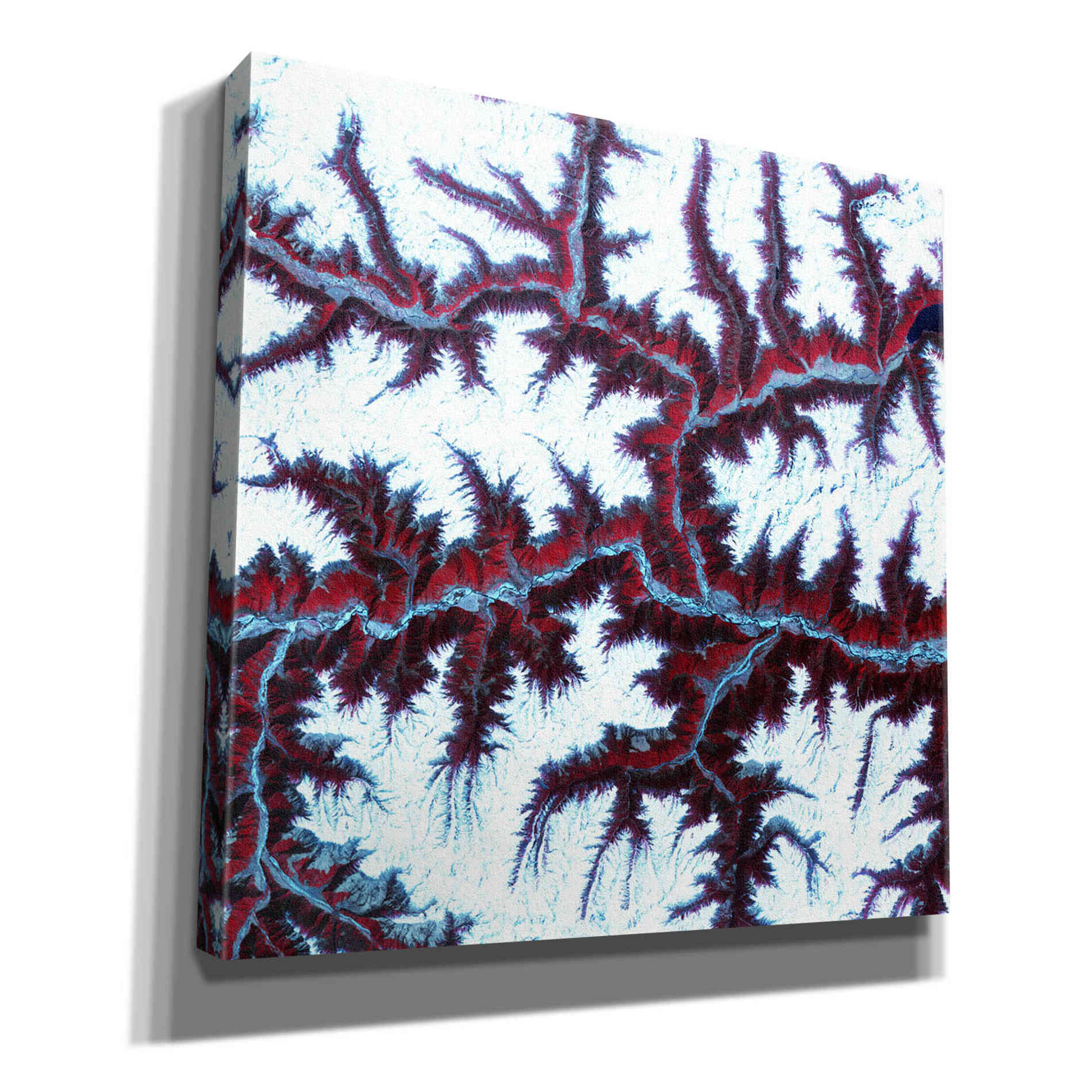 'Earth as Art: Himalayas ' Canvas Wall Art