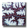 'Earth as Art: Himalayas ' Canvas Wall Art