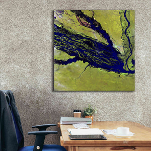 'Earth as Art: Jau Park' Canvas Wall Art,37 x 37
