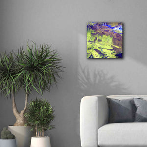 'Earth as Art: Lake Amadeus' Canvas Wall Art,18 x 18